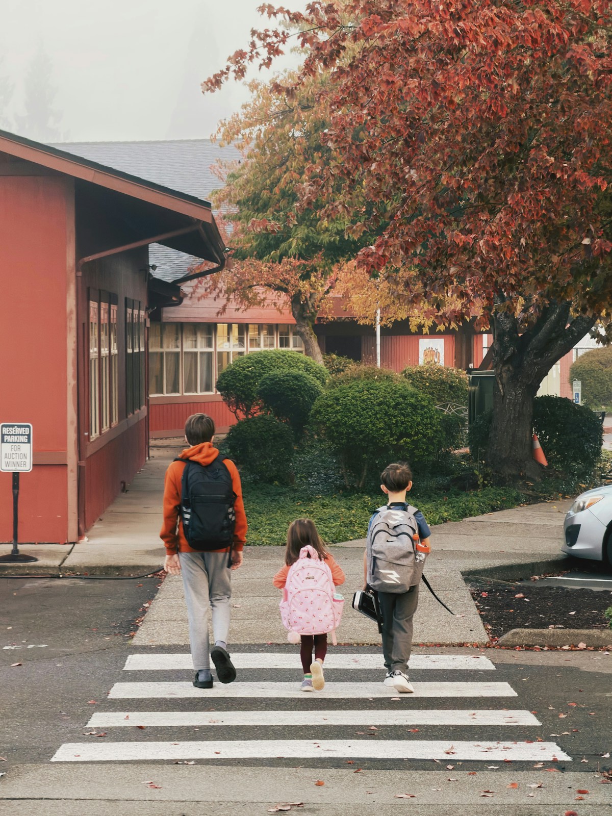 Children with backpacks walking to school