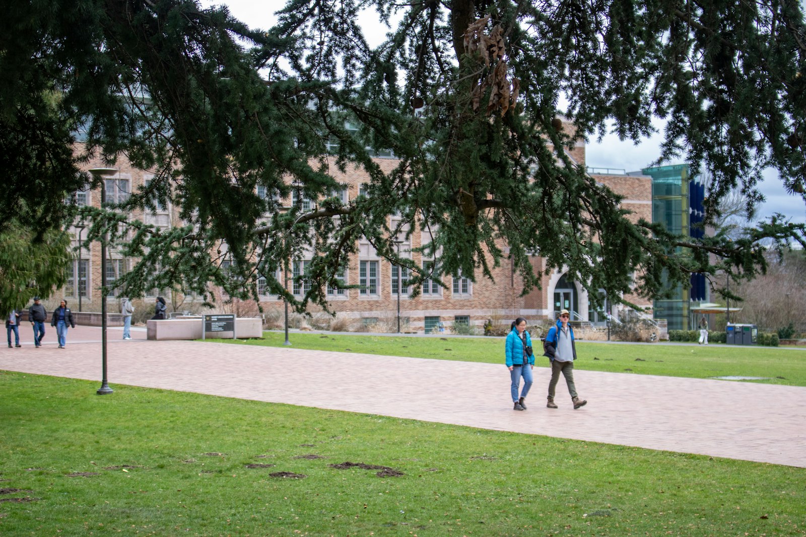 Students walking on tree-lined school campus