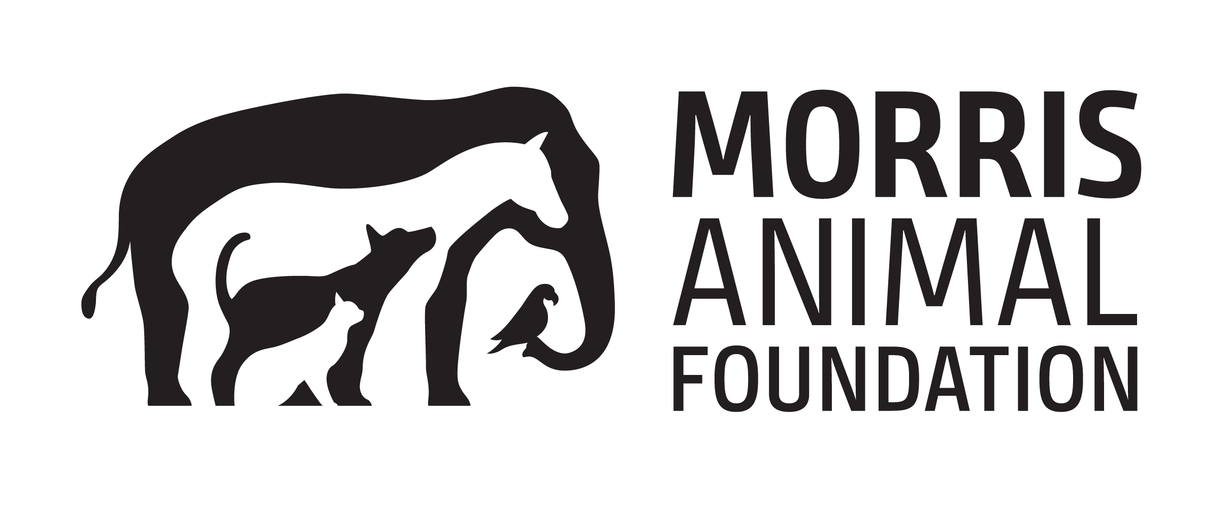 Morris Animal Foundation
